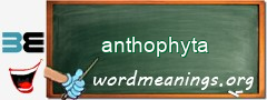 WordMeaning blackboard for anthophyta